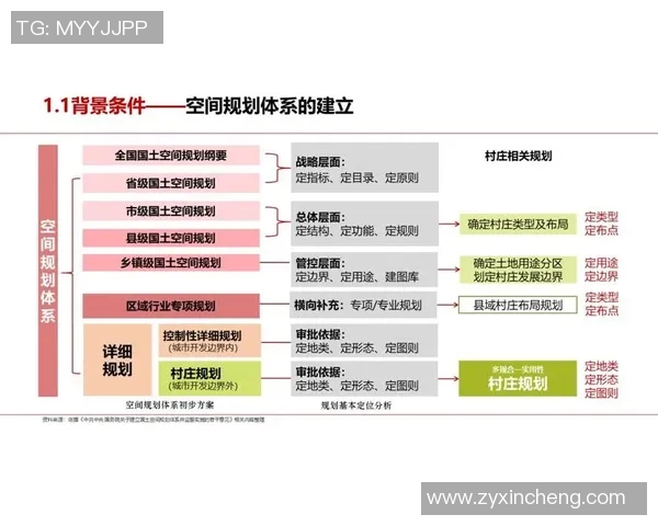 重庆排球队阵地战体系探究与战术创新分析